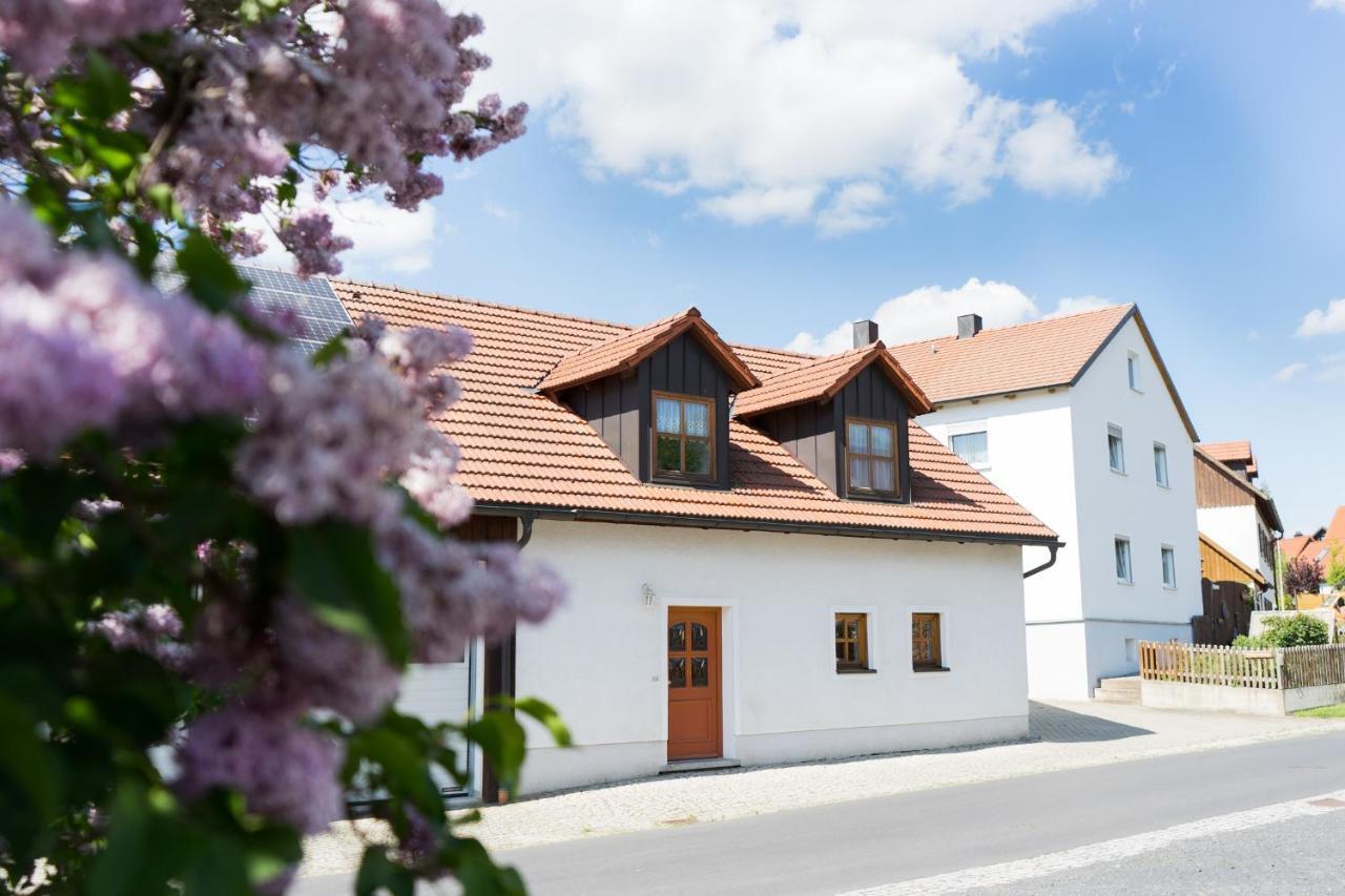 Ferienwohnungen Koehler Neualbenreuth Bagian luar foto